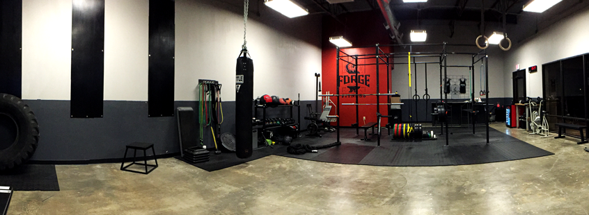 A gym offering personal training services with a 360 degree view of weights and equipment.